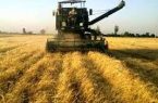 تشکیل شورای تعیین قیمت تضمینی محصولات کشاورزی طی هفته آینده / پیشنهاد تشکلها: ۴۸۰۰ تومان برای گندم