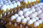 ممنوعیت عرضه تخم مرغ فله‌ای از سوی وزارت جهاد رد شد