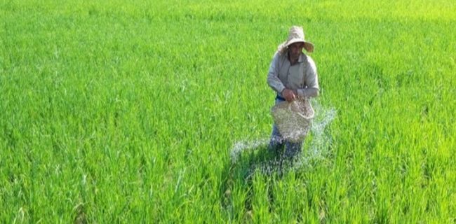 تعلل وزارت جهاد کشاورزی در تشکیل شورای قیمت گذاری محصولات اساسی