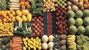 صادرات محصولات کشاورزی رکورد زد/ توزیع ۴.۹ میلیارد دلاری بین ۸ کشور