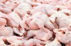 تعلل در ابلاغ مصوبه ممنوعیت صادرات مرغ