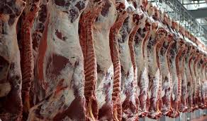 ۱۵۰ هزار تن گوشت قرمز مازاد /افزودن ۱۵ میلیون راس به جمعیت دام سبک کشور