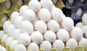 روند نزولی قیمت تخم مرغ ادامه دارد