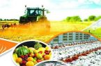 زنگ خطر برای صادرات محصولات کشاورزی ایران به صدا درآمد