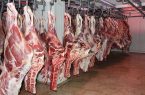 تأمین گسترده نهاده‌های دامی و عرضه گوشت قرمز در بازار