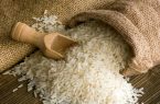 کاهش ۲۰ درصد تولیدات برنج براثر خشکسالی و تاثیر افزایش قیمت آن