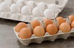 فاصله قیمت مصوب و آزاد تخم مرغ کاهش یافت