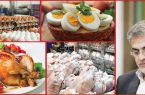 پیشنهادی برای گره‌گشایی کلاف پیچیده تولید مرغ و تخم‌مرغ