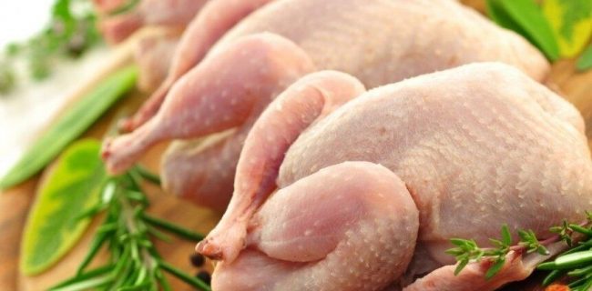 مرغ سایز در راستای ارتقای سلامت محصول روانه بازار می‌شود