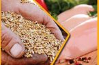 قطعه‌بندی در فروشگاه‌ها تخلف است، بررسی قیمت مرغ در شورای قیمت‌گذاری