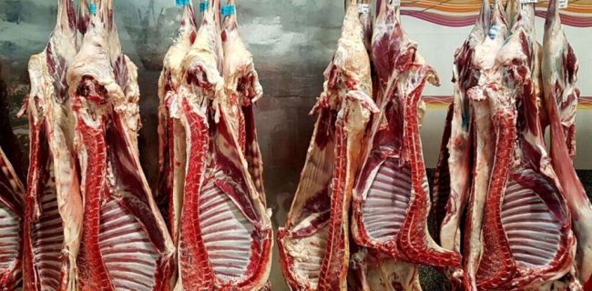 رشد ۴۱۱ درصدی واردات گوشت قرمز به کشور