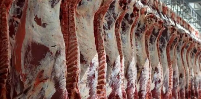 آیا بازار گوشت قرمز در ۳ماه آینده ساماندهی می‌شود؟