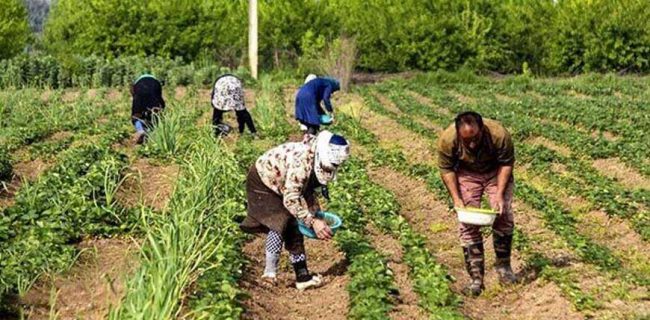 عبور از سانتی‌مان‌تالیزم ، گرفتار در تله اغراق‌نمایی مشکلات یا فقدان آمایش سرزمینی در بخش کشاورزی ایران