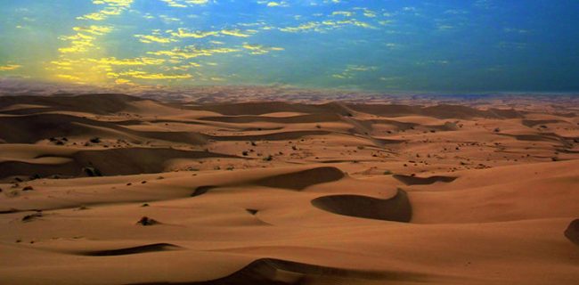 «کویر» منطقه‌ای با ۲۰۵ گونه گیاهی