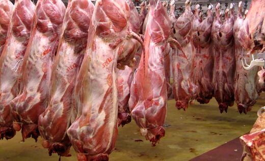 قیمت گوشت برای مصرف کننده نباید از ۱۲۰ هزار تومان بیشتر باشد