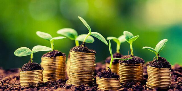 کشاورزی آوانگارد اقتصاد روستایی