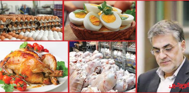 پیشنهادی برای گره‌گشایی کلاف پیچیده تولید مرغ و تخم‌مرغ