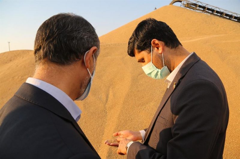 دکتر ساداتی‌نژاد وزیر جهاد کشاورزی، دکتر سید میعاد صالحی معاون وزیر راه و شهرسازی