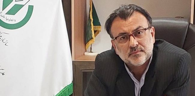 خرید ۱۵۰۰ تنی برگ سبز چای به ارزش بیش از ۱۹۰ میلیارد ریال