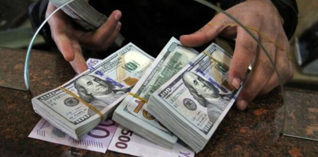 دولت در تله نیما گرفتار شد؛ رانت و فساد در انتظار بازار ارز