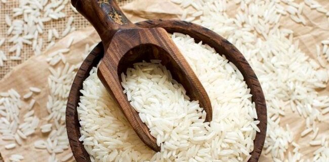 متوسط سالانه برنج کشور ۳ میلیون و ۲۰۰ هزار تن است