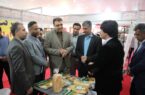 نمایشگاه محصولات غذایی، ماشین‌آلات و صنایع وابسته در بندرعباس آغاز به‌کار کرد