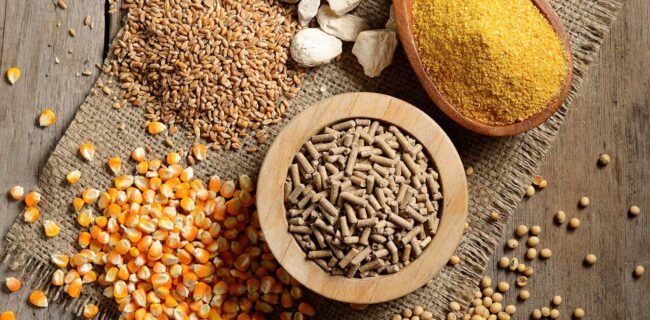ظرفیت ۳۲ میلیون تنی تولید خوراک در کشور