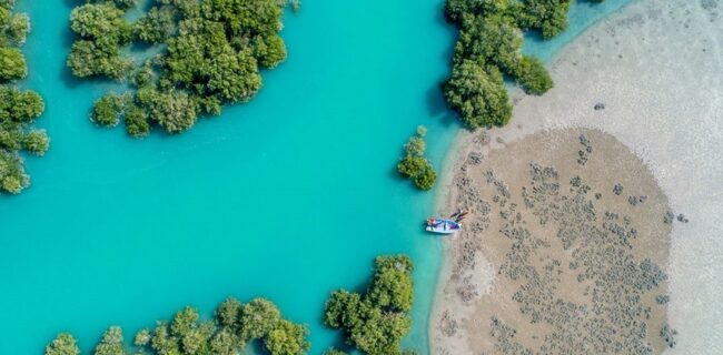 برپایی نمایشگاه سَرزورزوما