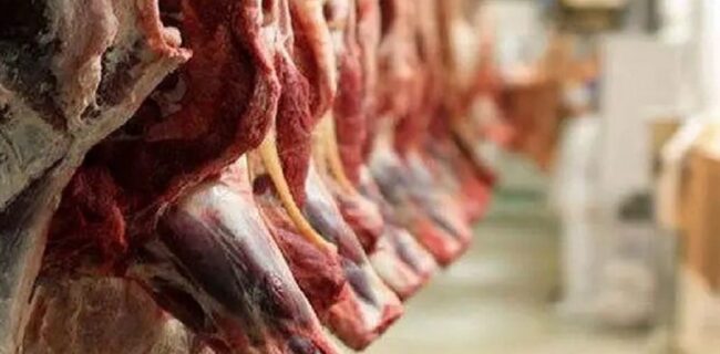 خودکفایی گوشت، قربانی رانت واردات شد