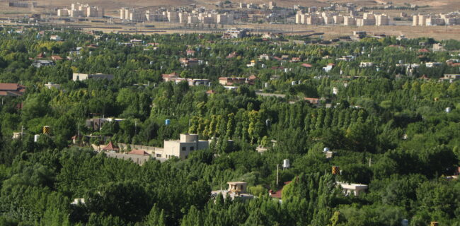 دلم می سوزد از باغی که می سوزد