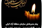 پیام مدیرعامل سازمان منطقه آزاد انزلی در پی اقدام تروریستی رژیم صهیونیستی: