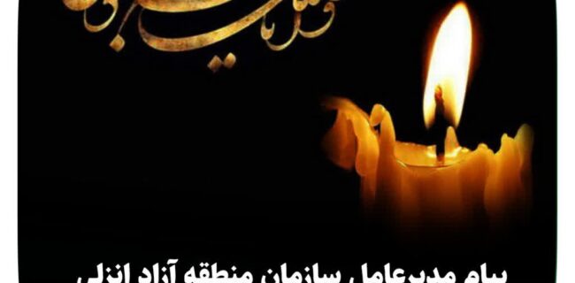 پیام مدیرعامل سازمان منطقه آزاد انزلی در پی اقدام تروریستی رژیم صهیونیستی: