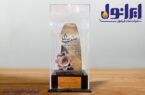 تقدیر از عملکرد مدیر عامل نفت ایرانول و انتخاب به عنوان واحد نمونه سال ۱۴۰۳