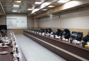 تشریح ساختار بازار پتروشیمی در قزاقستان/ تقاضا برای محصولات پتروشیمی ایرانی وجود دارد
