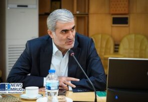 توزیع ۳۰ هزار تن میلگرد برای پروژه‌های حمایتی مسکن از ابتدای سال