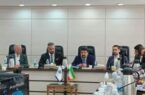 فرضیه تبانی واردکنندگان خودرو با خودروسازان، توهم است