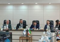 فرضیه تبانی واردکنندگان خودرو با خودروسازان، توهم است