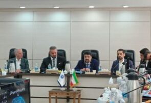فرضیه تبانی واردکنندگان خودرو با خودروسازان، توهم است