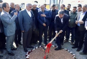 تعبیر پولادیِ پرتلاش از شیوه کار جمالی‌نژاد