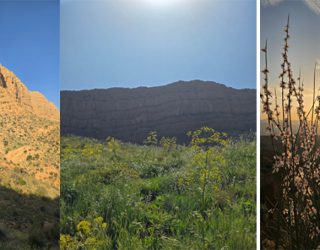 امان نامه ای برای دو زیبای کاملا طبیعی فارس  امان نامه ای برای دو زیبای کاملا طبیعی فارس