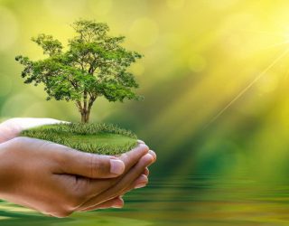 زندگی را در چرخهی سبز شیراز جور دیگری می بینید زندگی را در چرخهی سبز شیراز جور دیگری می بینید