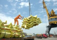 از انبار تا بازار؛ ردپای دلالان در بحران برنج خارجی+ فیلم از انبار تا بازار؛ ردپای دلالان در بحران برنج خارجی+ فیلم