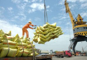 از انبار تا بازار؛ ردپای دلالان در بحران برنج خارجی+ فیلم