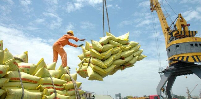 از انبار تا بازار؛ ردپای دلالان در بحران برنج خارجی+ فیلم از انبار تا بازار؛ ردپای دلالان در بحران برنج خارجی+ فیلم