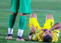 فجر؛ گربه‌ی ملوس خانگی و شیر زخمی بیرون از خانه