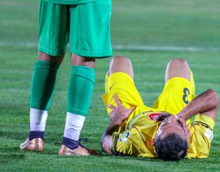 فجر؛ گربهی ملوس خانگی و شیر زخمی بیرون از خانه فجر؛ گربهی ملوس خانگی و شیر زخمی بیرون از خانه