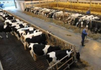 نوی‌پو، ابزاری کارآمد برای پایداری تولیدات پروتئینی