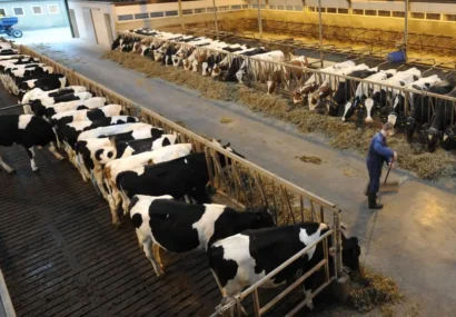 نوی‌پو، ابزاری کارآمد برای پایداری تولیدات پروتئینی