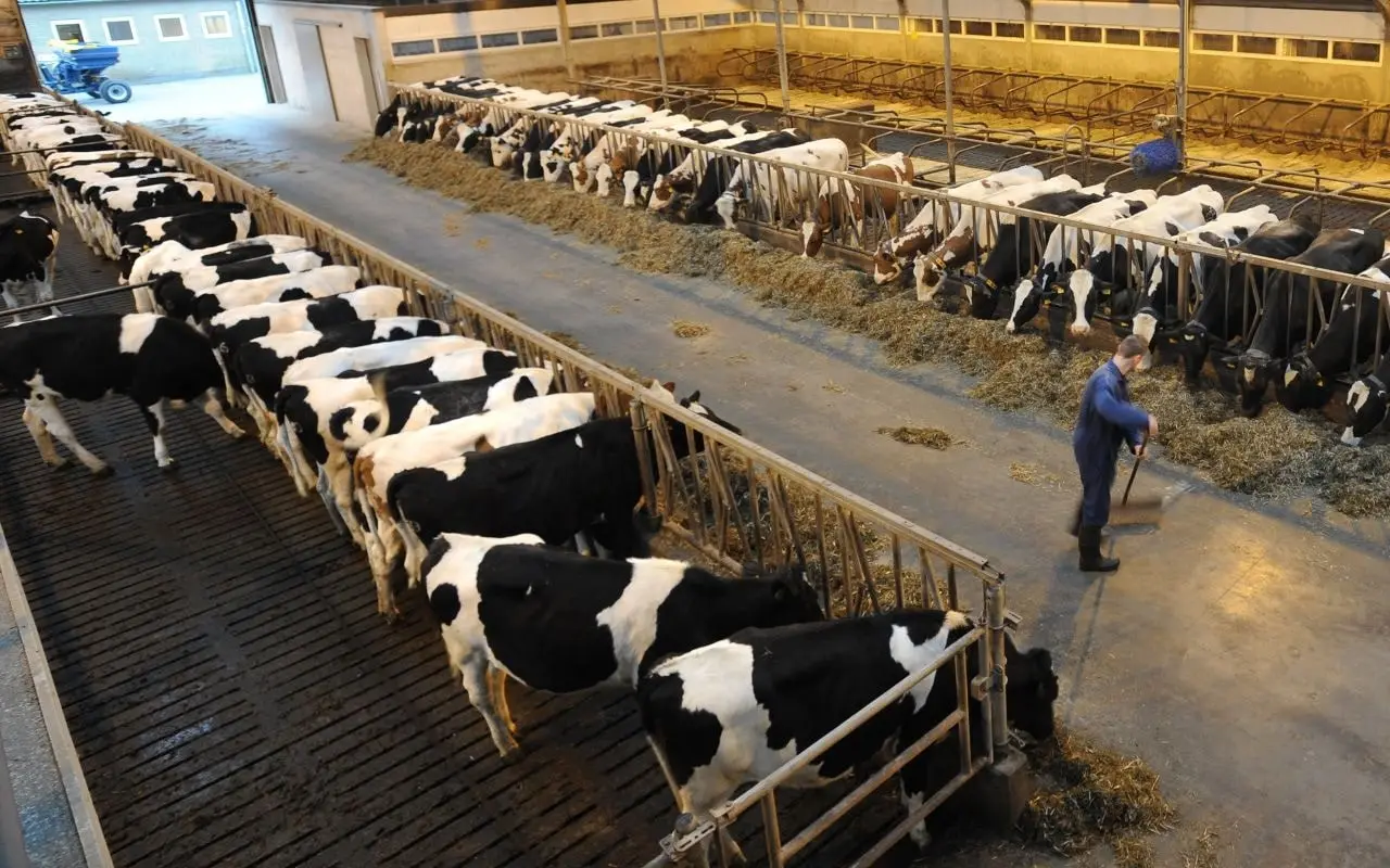 نوی‌پو، ابزاری کارآمد برای پایداری تولیدات پروتئینی