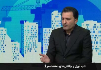 بازار مرغ آرام می‌گیرد